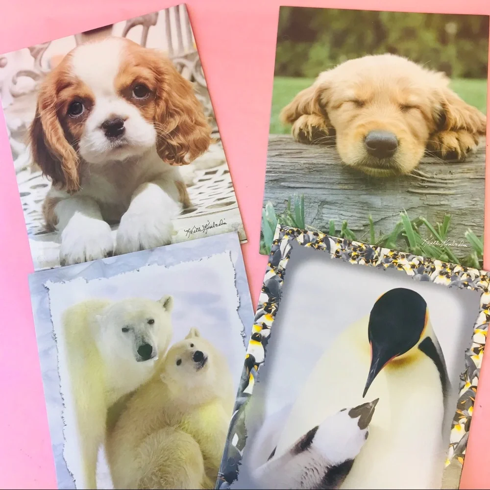 New set of folders